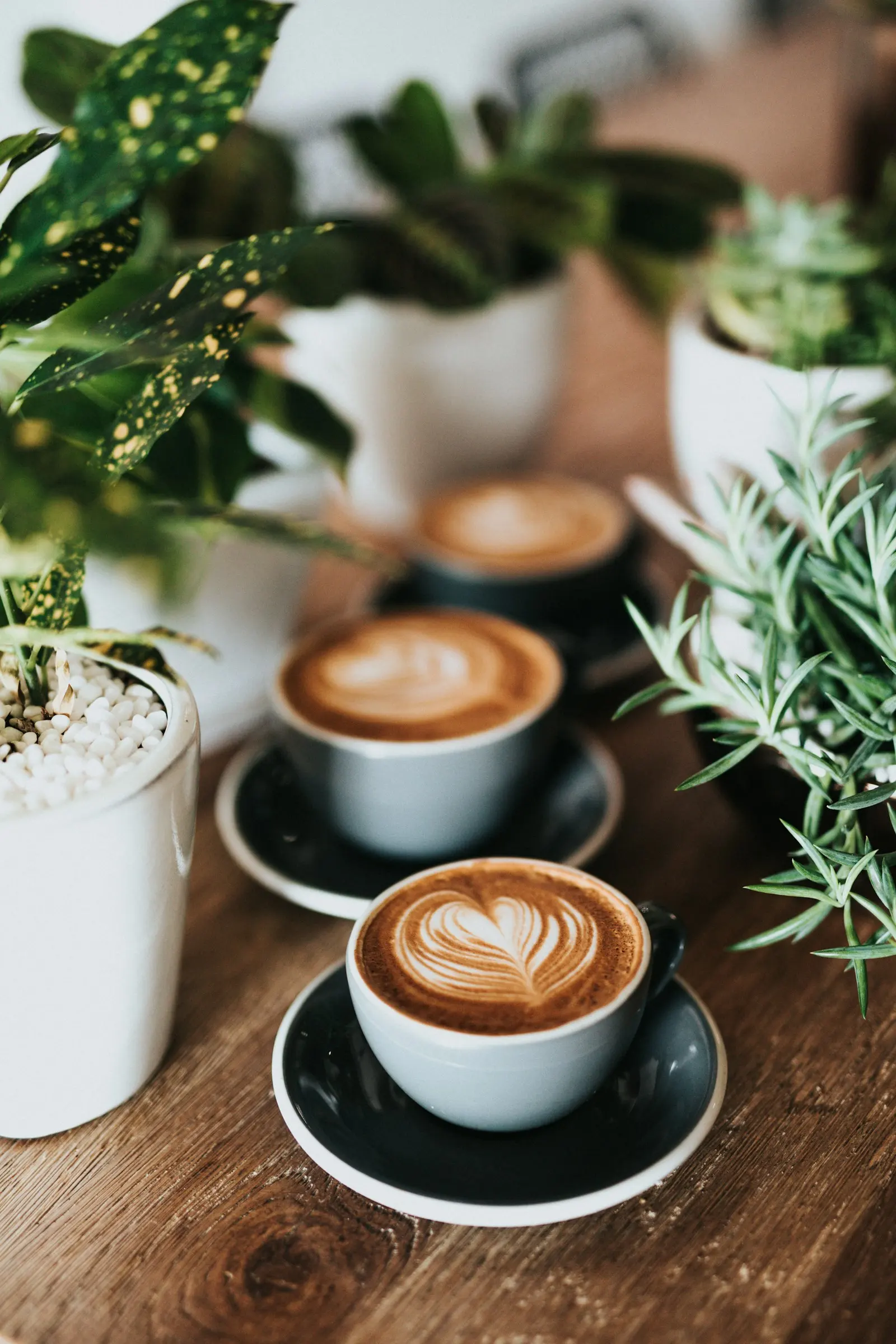 Freshly poured latte in a ceramic cup