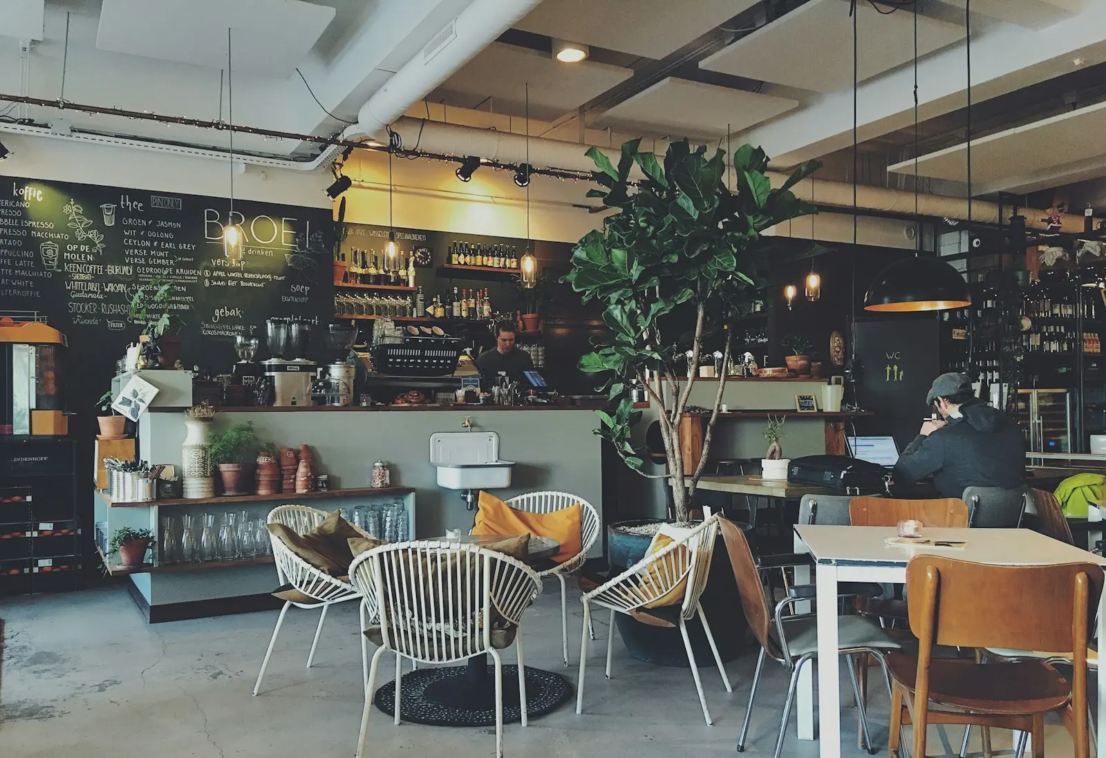 Warm, light-filled cafe with timber furnishings
